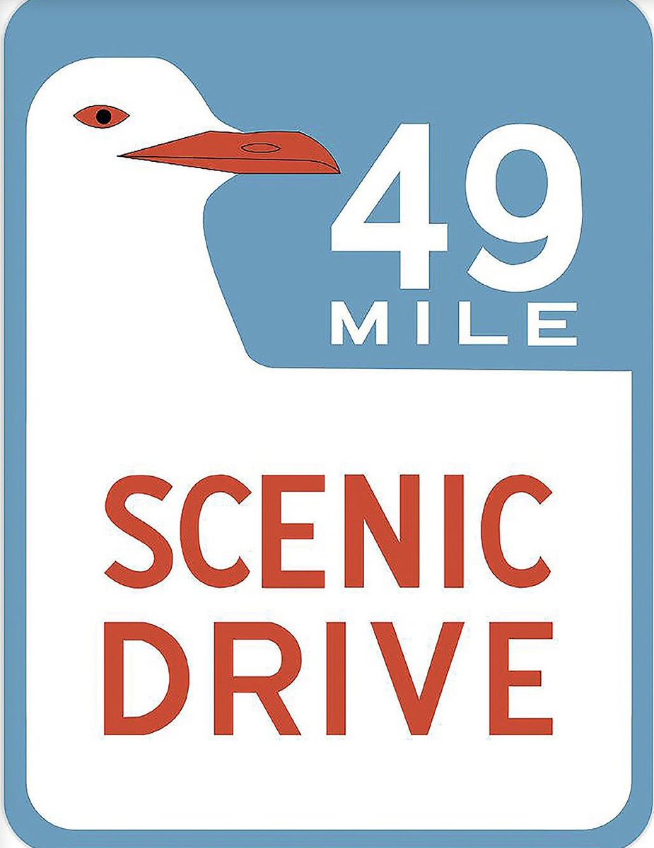 VOTE: Seagulls! Afterall, seagulls already have their own SF signage! #totalsf #49milescenicdrive #sfbird
