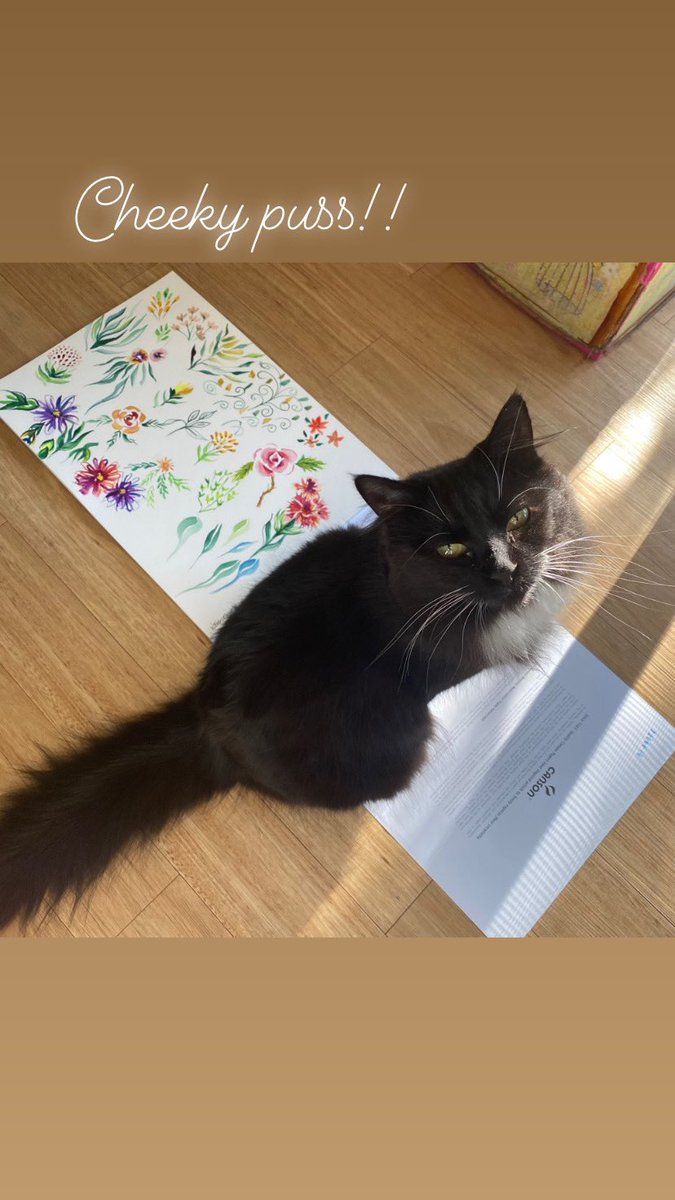 LadybirdBrig's tweet photo. Cheeky puss. Trying to take photos of my work and she sits on my work!!
#BrigitteJamesArtist #PerthArtist #perthart #ladybird_brig #waartist #australianartist #Watercolour #watercolorSamples #WatercolourTechniques #CheekyCat https://t.co/0Nynb2JOpg