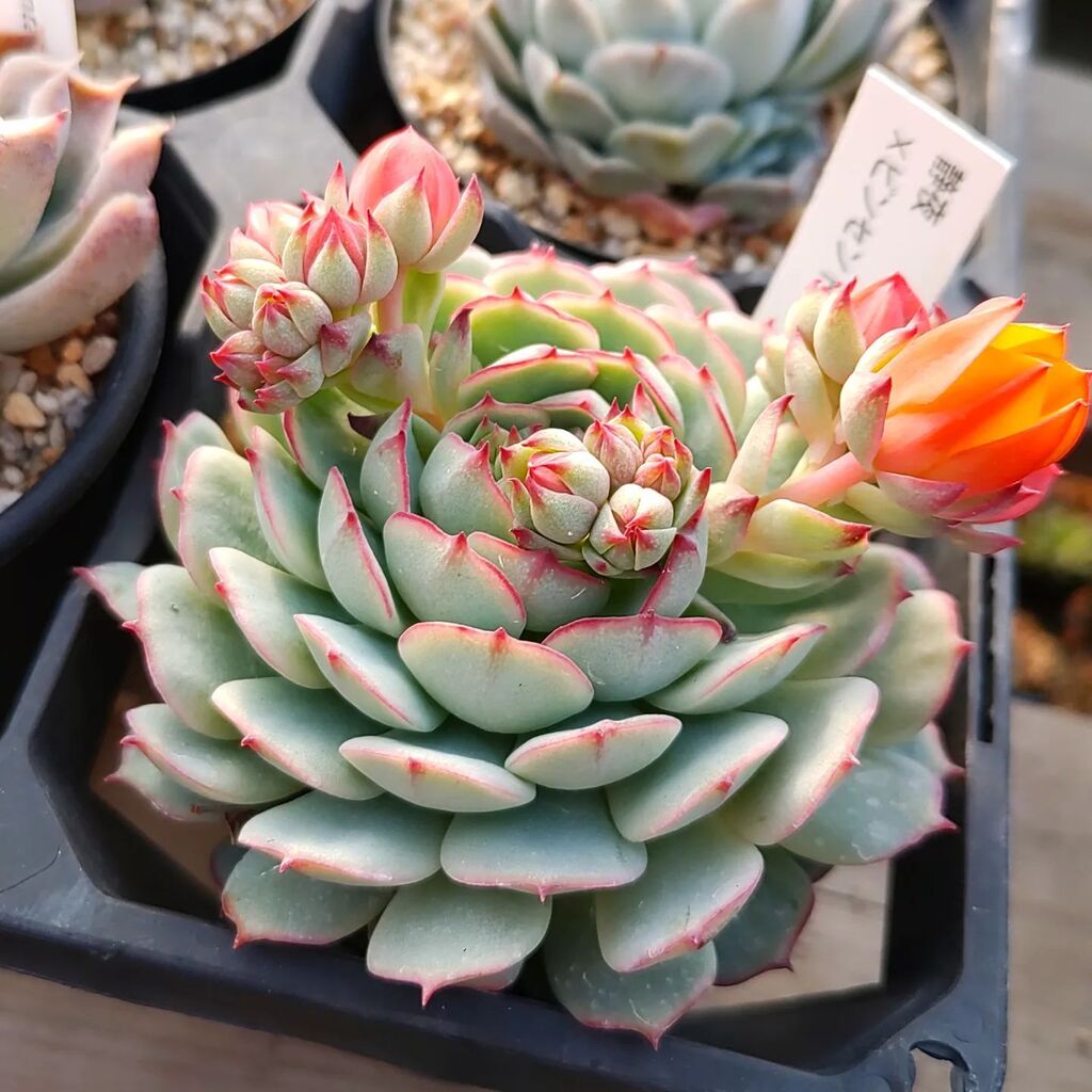 sunny spot (@HMayo1201) / Posts / X