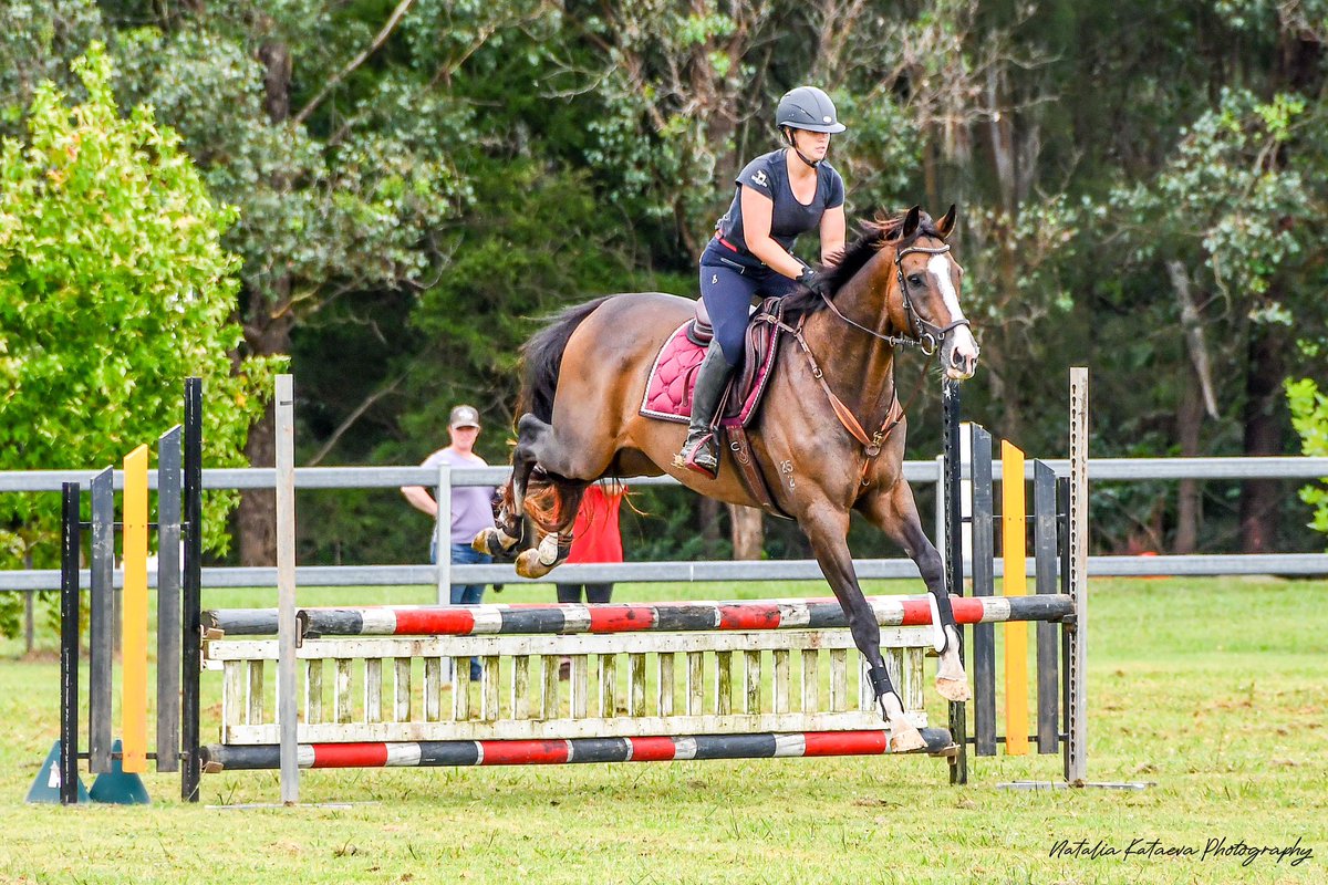 hayleybdevlin's tweet photo. This time two years ago Invictus Prince was gearing up for his final start as a racehorse. Fast forward two years and he’s thriving in his new career. I’ve yet to find something more rewarding @KickUpForRacing #offthetrack #thoroughbred #eventing #retraining https://t.co/Zd21aW217M
