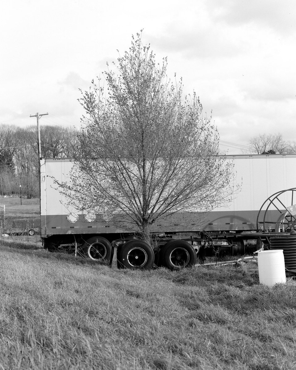 StoffelMatt's tweet photo. A tree growing through part of a truck on @cinestillfilm #cinestill400d and @kodak #trix320
#film #largeformat #4x5 #120film #mediumformat #processedbypraus https://t.co/VY0Skldibp