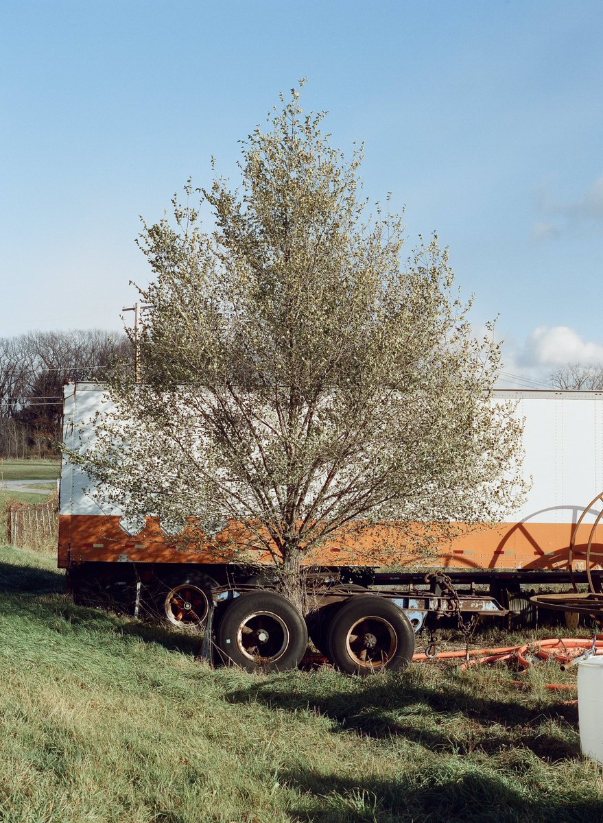 StoffelMatt's tweet photo. A tree growing through part of a truck on @cinestillfilm #cinestill400d and @kodak #trix320
#film #largeformat #4x5 #120film #mediumformat #processedbypraus https://t.co/VY0Skldibp