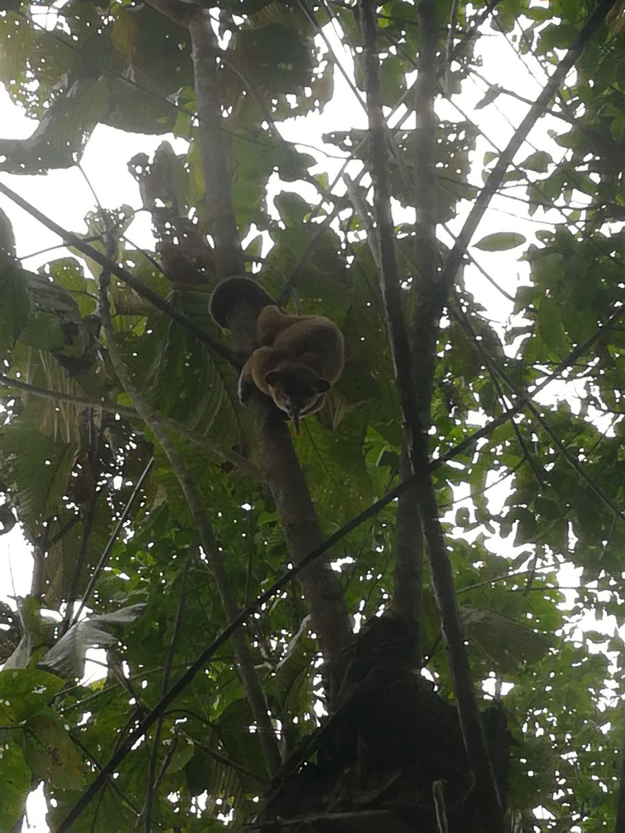 pattymendo1's tweet photo. Naturaleza y fauna 🙌😍 https://t.co/Vgbco2gfqz