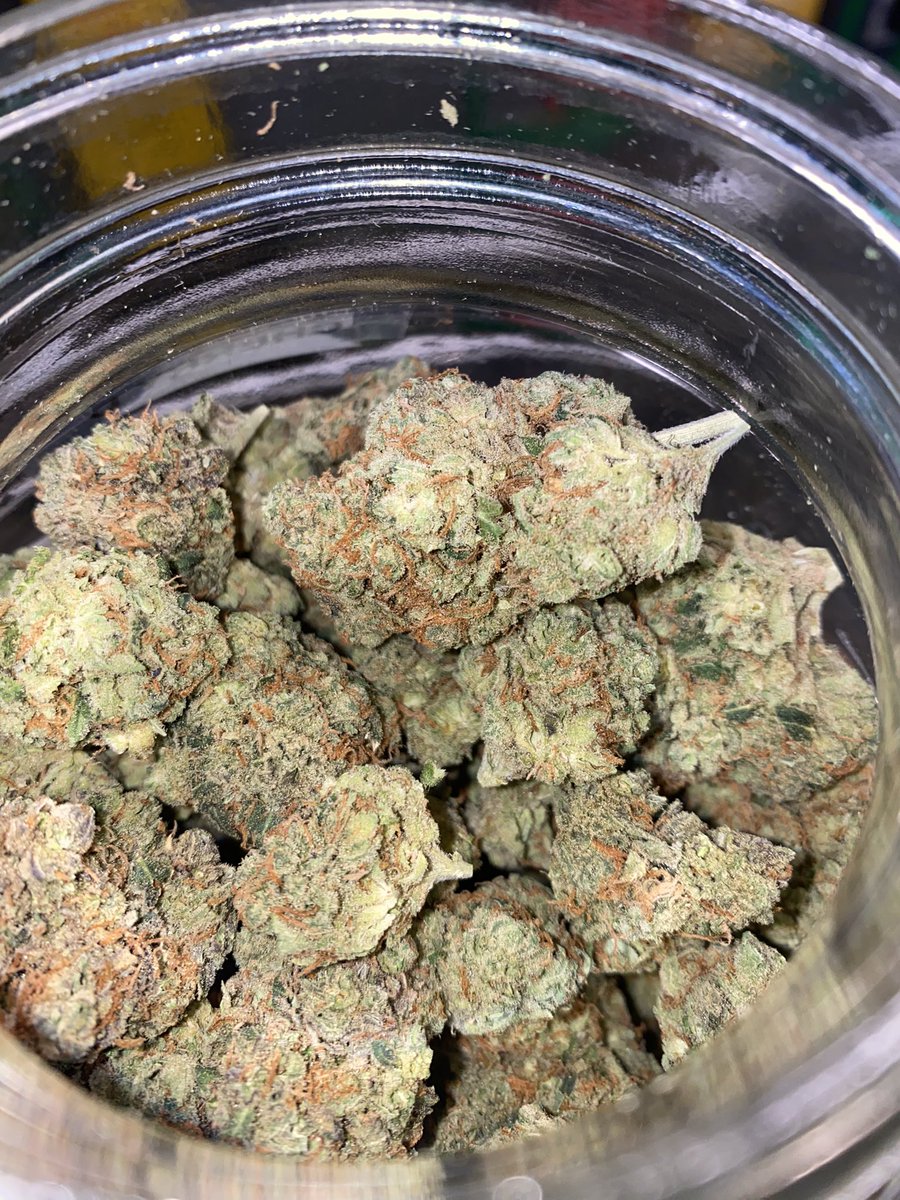 thecdcpdx's tweet photo. Our #MondayMotivation and #StrainOfTheWeek is this #CherryDiesel! Grown by #PacificGrove &amp; crossed with #CherryOG and #TurboDiesel 😮‍💨💕😎 #cannabis #420community #thecdc #pdx #oregon #buds #pot #cannabislovers #flowers #puffpuff #pass #cannabisculture #growers #comesayhigh #green https://t.co/Tn9qKpRZDC