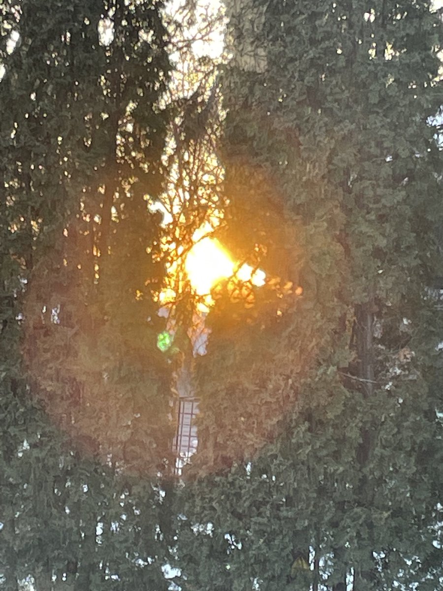 ballantyneart's tweet image. Sun going down 6:36pm -10C #waitingforspring