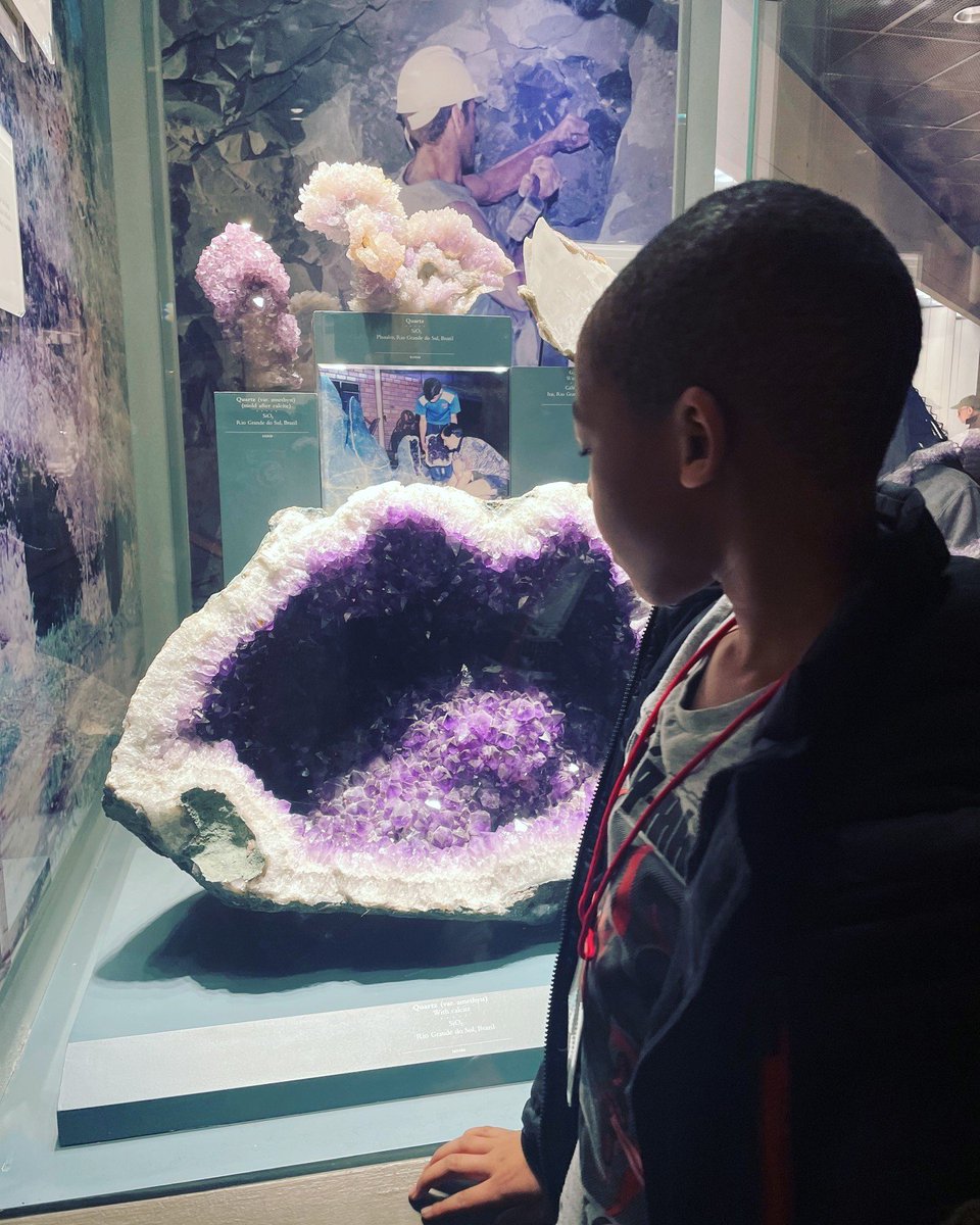 Live It Learn It tweet media