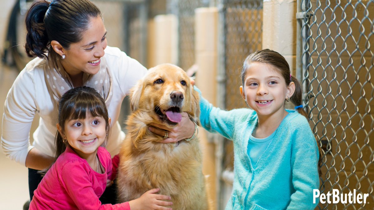 PoopFreeYard's tweet photo. At Pet Butler, we're committed to helping pets in need. 💙🐶 If you're looking to adopt a furry friend, check out these adoption tips (@aspca): https://t.co/Bv9CcHy1kG #PetButler #PetRescue #MakeADifference https://t.co/icVKddtOqA