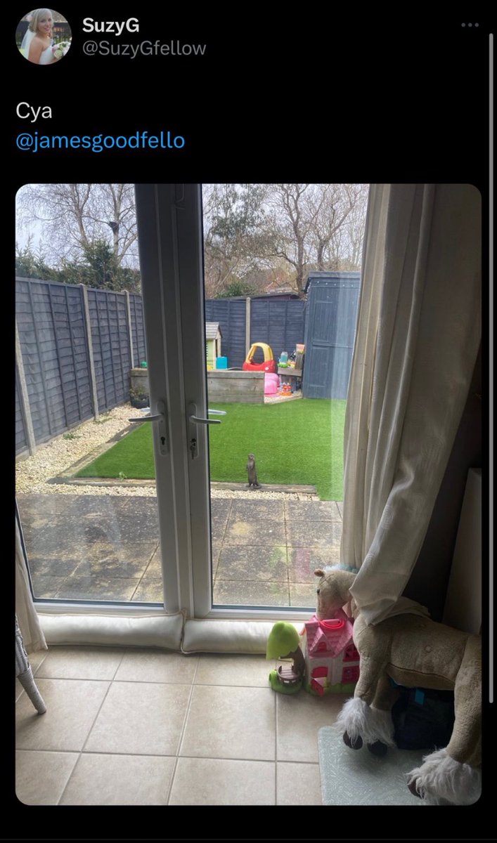 SuzyGfellow's tweet photo. There we go. A jolly good Monday in the garden. Right really now, enough. (But … Don’t want to see the Otter again, k. Bye.) x @jamesgoodfello https://t.co/eh9D6j7EZz