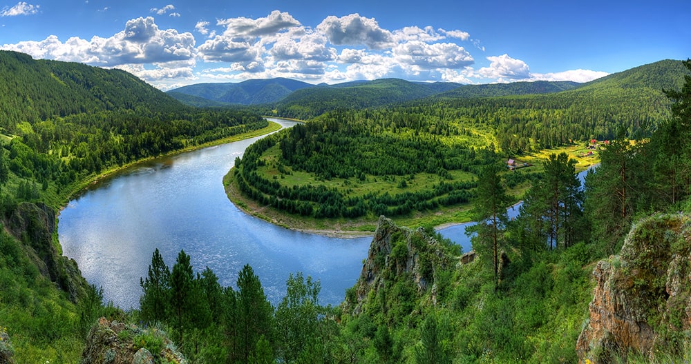 East Siberian taiga
 Area: 3,900,000 km².  It is the longest forest in the world, covering more than 10% of the planet in circumference.  Winters here are long and cruel, and the warm season has a maximum of 100 frost-free days.
#NFT
#NFTCommunity
#EcoNFT
#NFTCollection
#NFTart