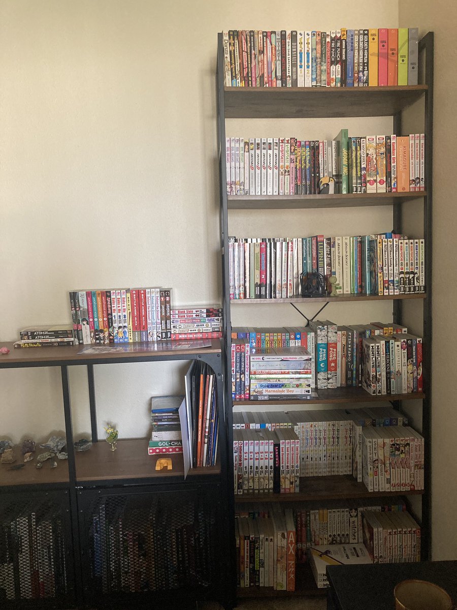 thatmangadude's tweet image. 17 years of collecting manga and still as fun as ever! Finally reorganized everything so now everything is (mostly) properly displayed!!