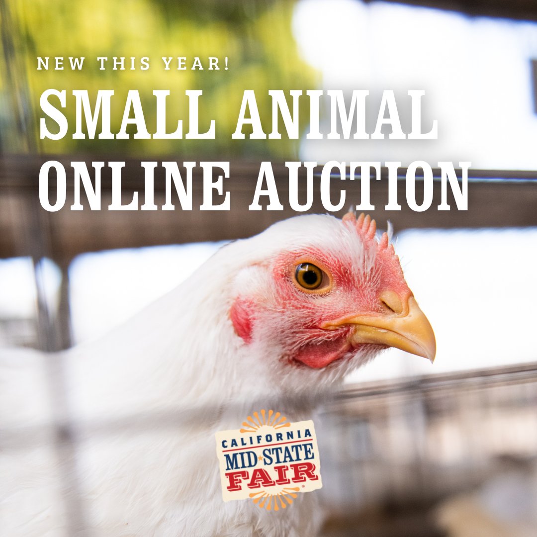 California MidState Fair on Twitter "FAIR ANNOUNCES NEW SMALL ANIMAL