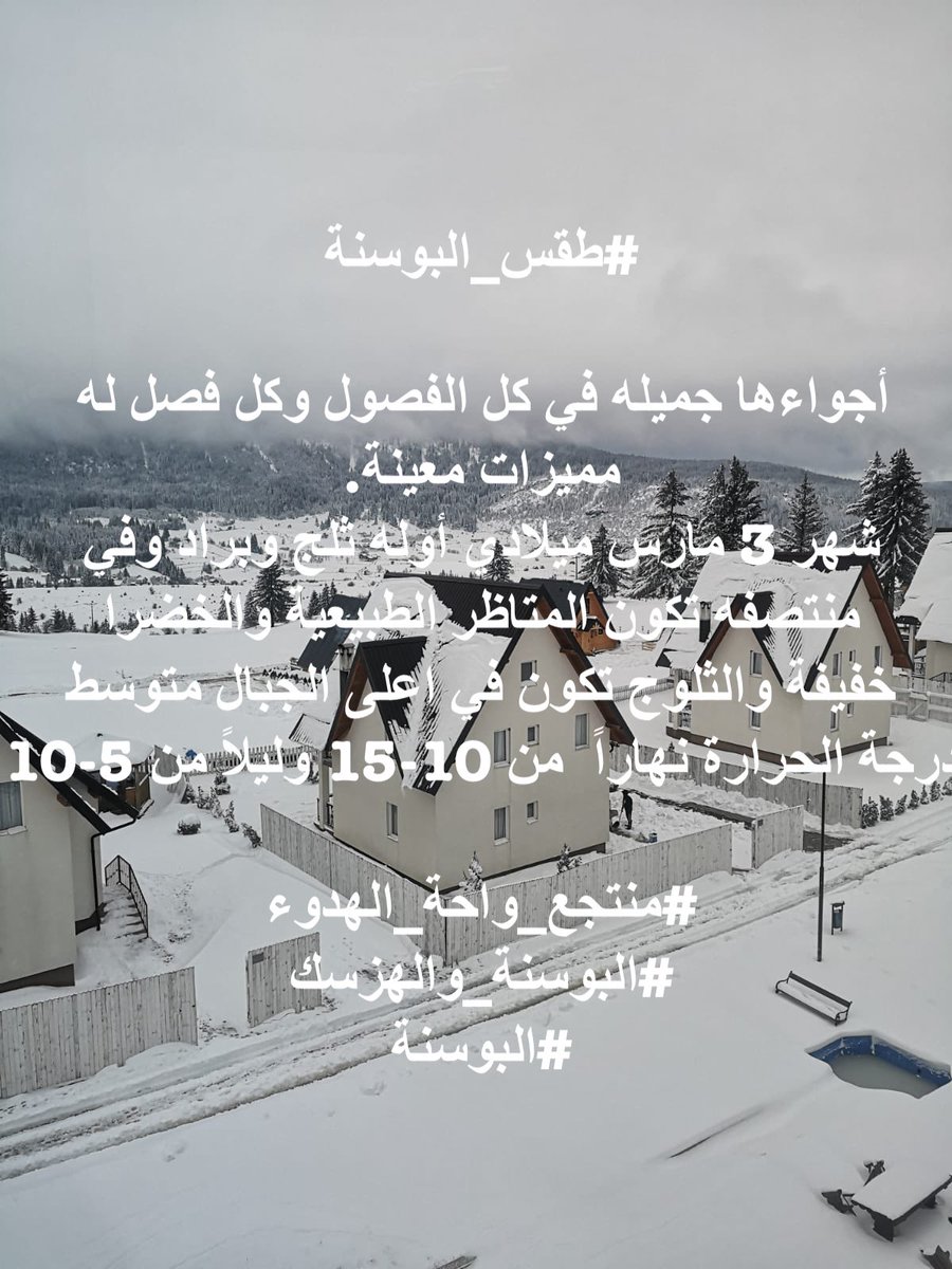 حامد (البوسنة) tweet media