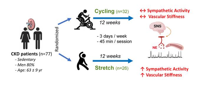 #ClinicalMedicine: Exercise modulates sympathetic and vascular function in chronic kidney disease: buff.ly/3xWUm8g @Jinny_Gogo @JeanieParkMDMS @EmoryMedicine #ClinicalTrials #Neuroscience