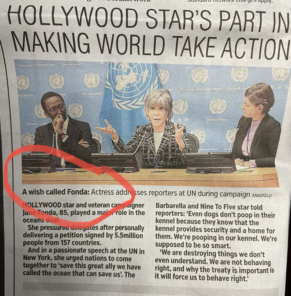 alison anderson tweet media