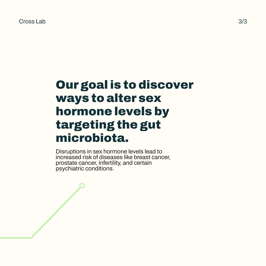 CrossLab_Purdue's tweet photo. Why should we care about the gut when talking about gonads? Click the images to find out more! 

🦠

#guthealth #microbiome #gonads #gut #gutmicrobiota #sexhormones #hormonelevels https://t.co/irxOWqj85o