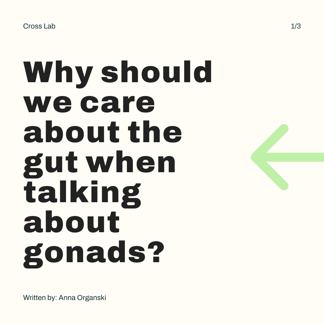 CrossLab_Purdue's tweet photo. Why should we care about the gut when talking about gonads? Click the images to find out more! 

🦠

#guthealth #microbiome #gonads #gut #gutmicrobiota #sexhormones #hormonelevels https://t.co/irxOWqj85o