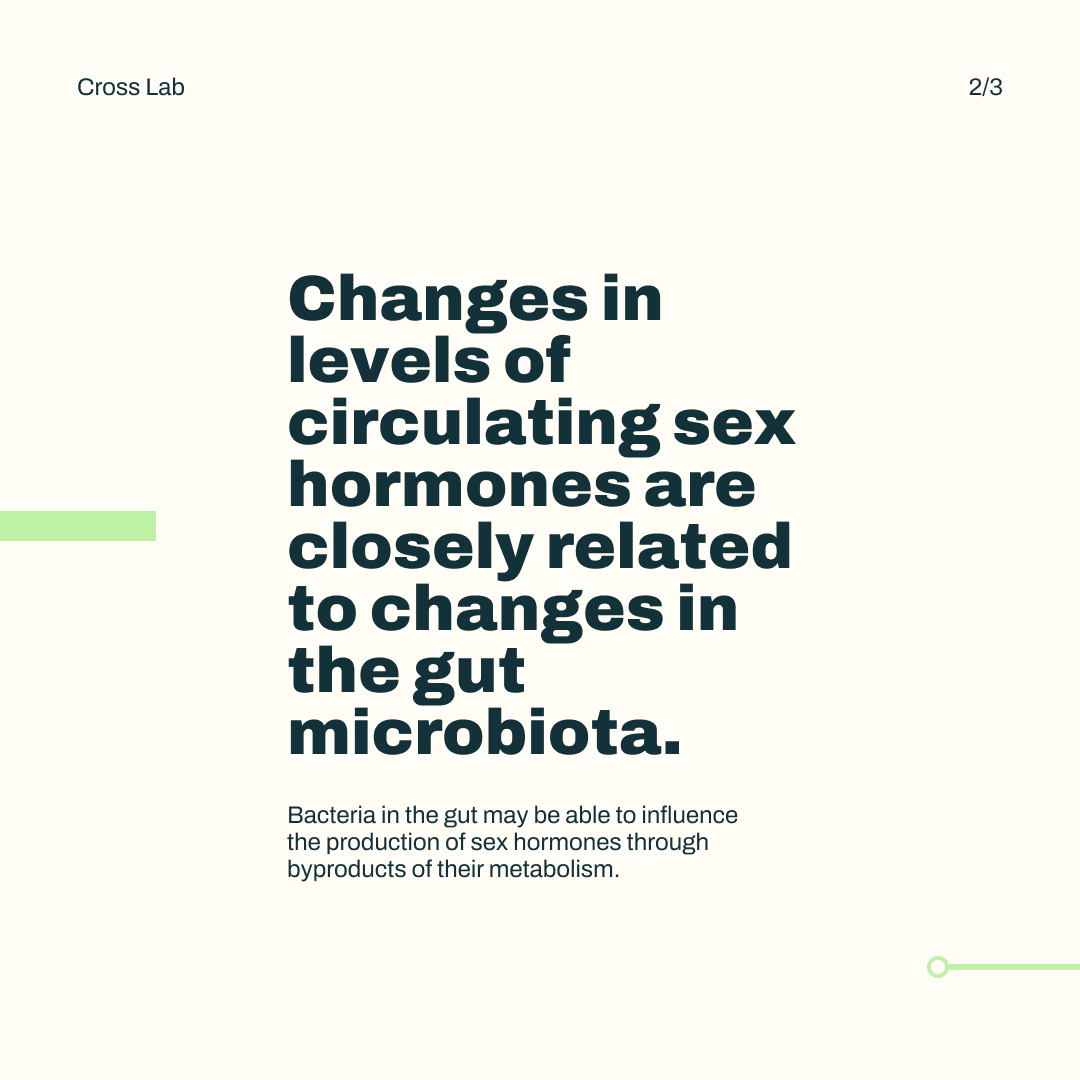 CrossLab_Purdue's tweet photo. Why should we care about the gut when talking about gonads? Click the images to find out more! 

🦠

#guthealth #microbiome #gonads #gut #gutmicrobiota #sexhormones #hormonelevels https://t.co/irxOWqj85o