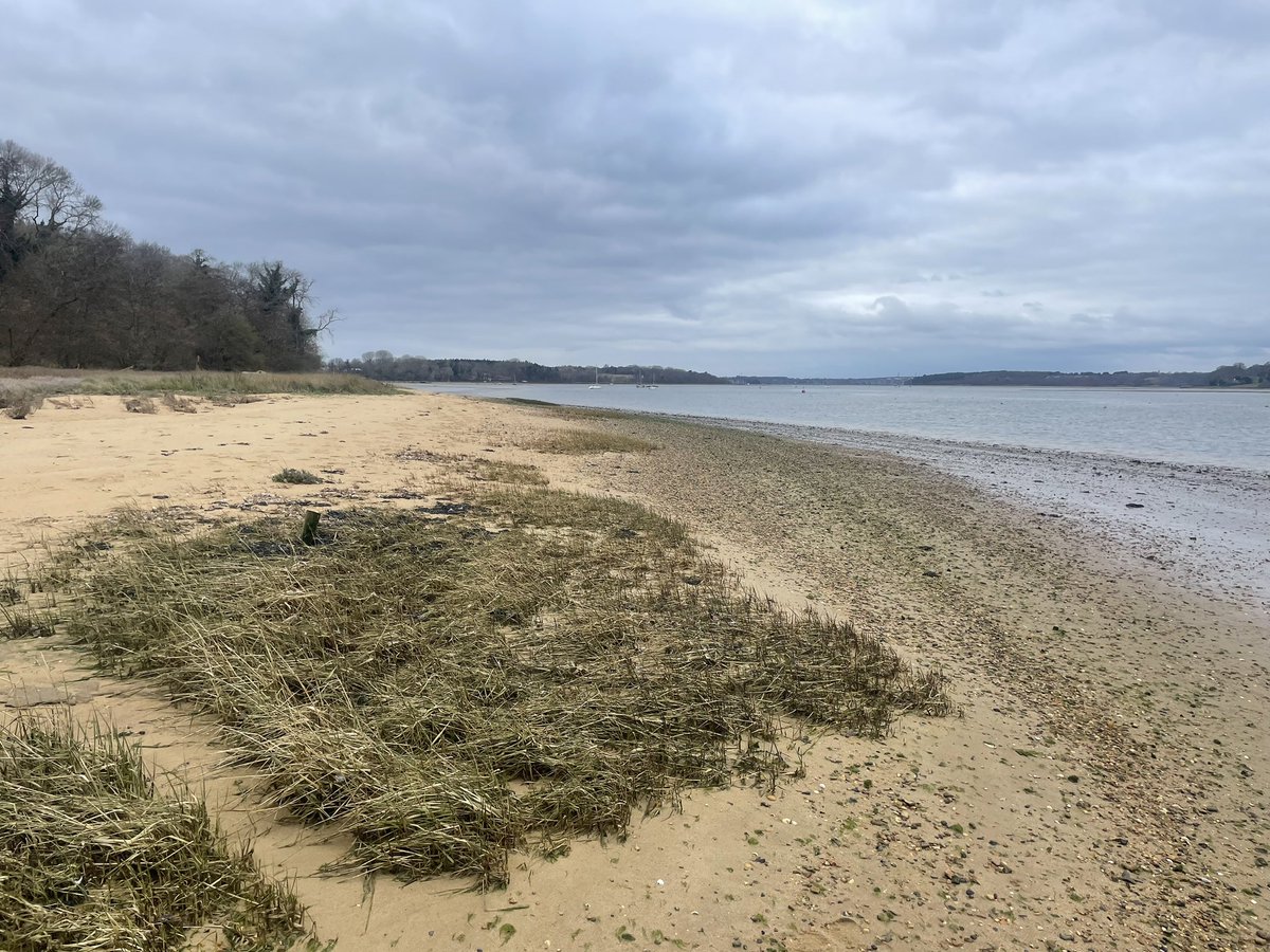 TimGardiner3's tweet image. When life gets too much, I go somewhere only we know #Pinmill #Suffolk