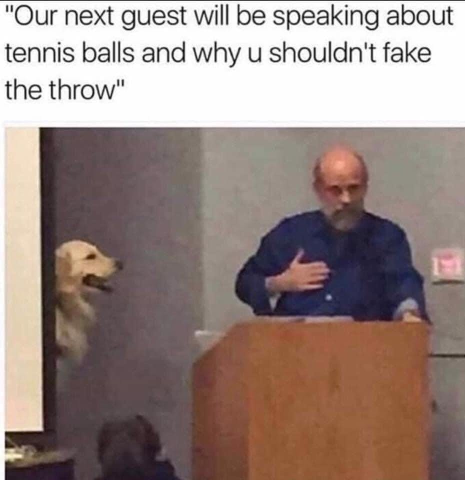 MichaelMyth's tweet image. 