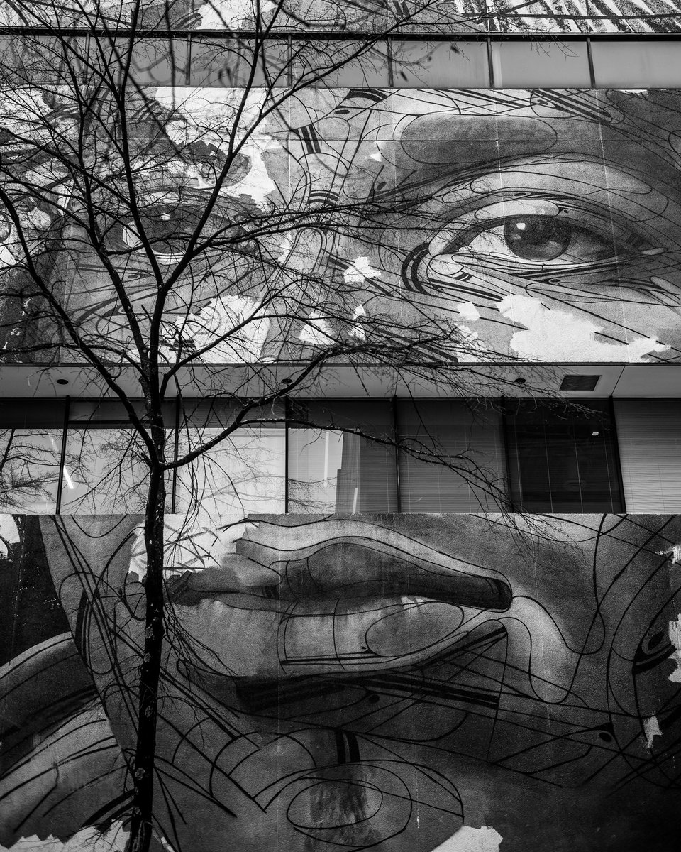 tomaschal's tweet photo. #Atlanta #atl #atlantaphotographer #atlphotographer #atlantaphoto #greekphotographer #AtlantaGA https://t.co/9PLKIsnVA6