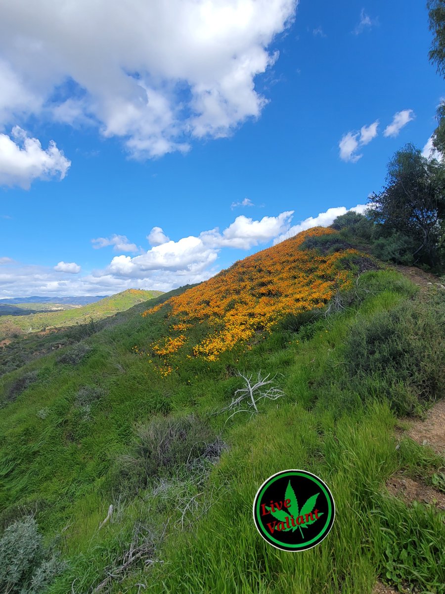 LvValiant's tweet photo. "Holiday on the radio
Billie knows that is the way to go
A place where we both can spend our saved time
Not collecting interest
Maybe the same reason we always find ourselves home bound"

8:16 AM -- 311

https://t.co/FKUvndpY8P

#UrbanHike #LiveValiant
#WeddingWeek https://t.co/iWpIdbxJTT