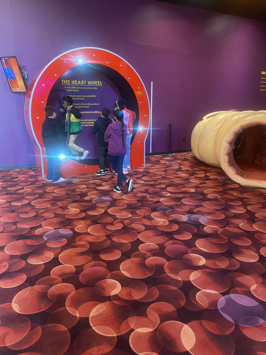 6th grade #LMS students had a great time on the field trip to the Health Museum! <a href="/LandrumMS/">Landrum MS Lions 🦁 #MoralCompass</a>