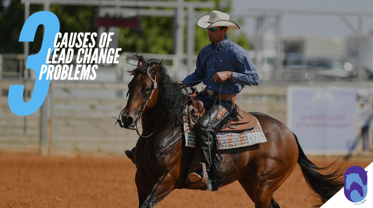 Dr. Audrey DeClue breaks down the key causes of lead change problems in sport horses in this podcast episode. Listen and learn! 🙌 bit.ly/THFEpisode54
#equinehealth #sporthorse