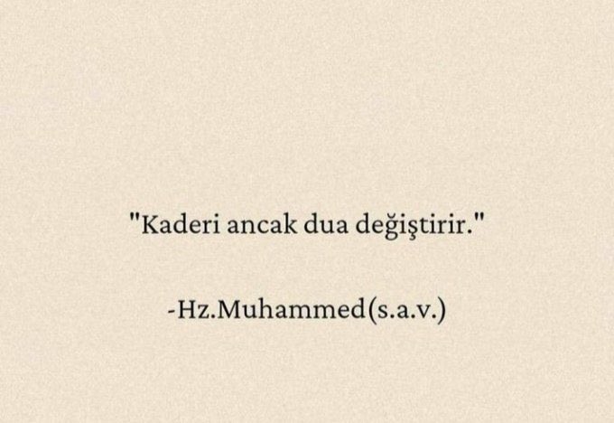 Umut Can (@iamumutcann) on Twitter photo 