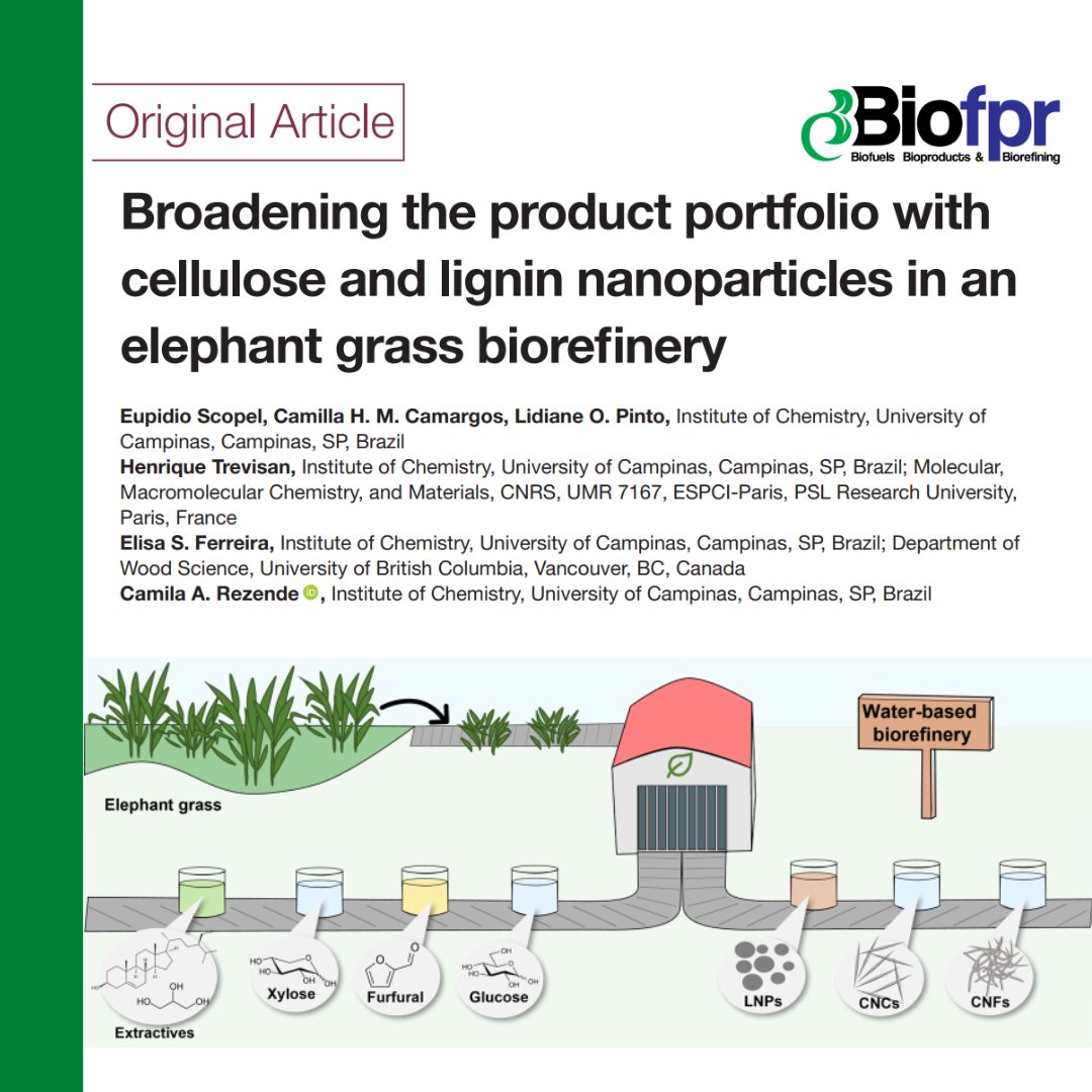We are delighted to share this new publication developed by some of our lab's current and former students. We proposed a biorefinery scheme to produce cellulose and lignin nanoparticles, aiming at complete biomass use. You can check it at: doi.org/10.1002/bbb.24…