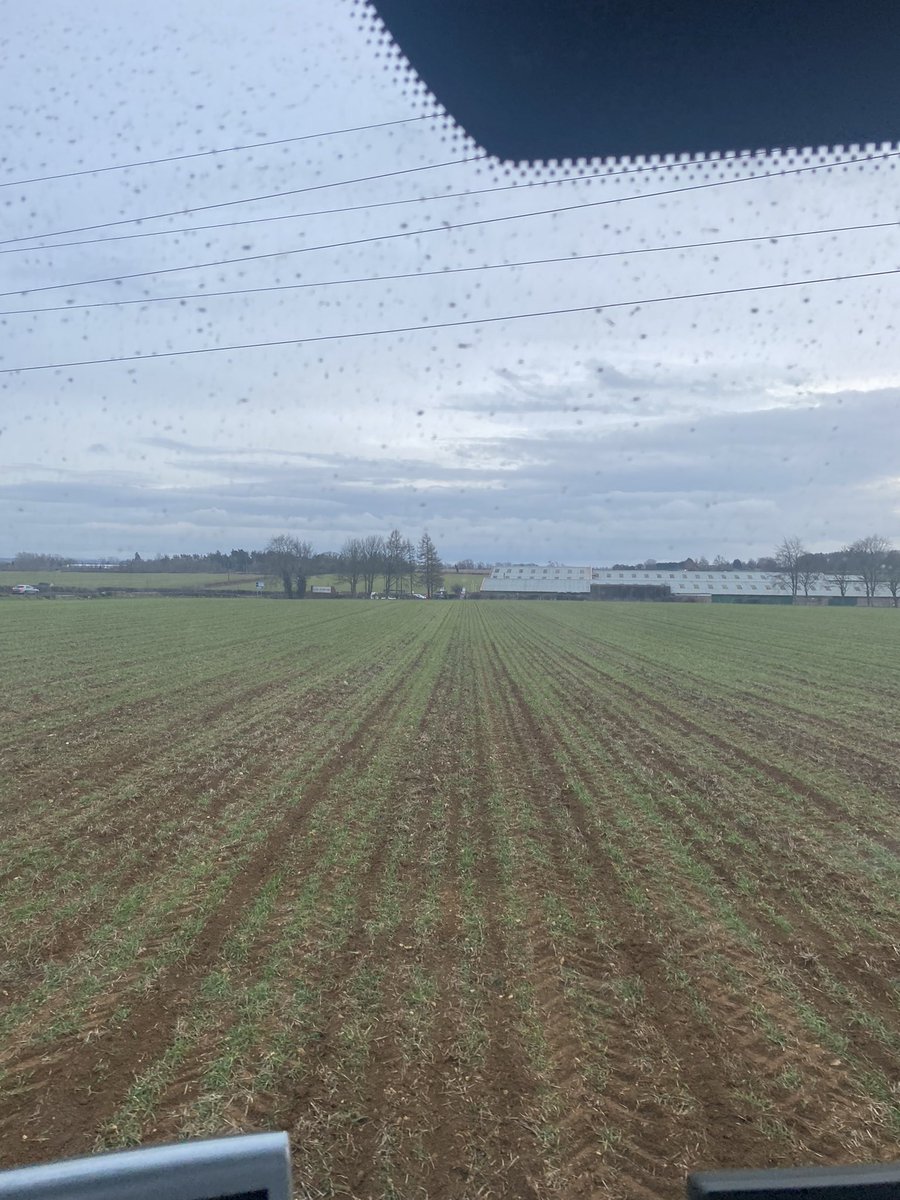 Feeling on trend today, hoeing winter barley. Taken out a good percentage of grass weeds 👌🏻 <a href="/ClaydonDrill/">Spencer Claydon</a>