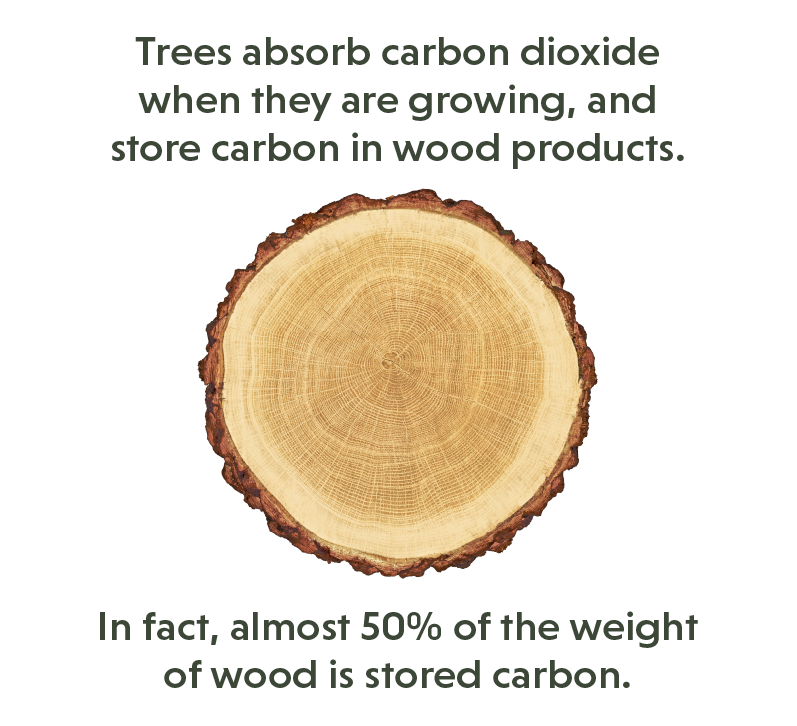 Choosing wood over more carbon and energy-intensive building materials means less waste, shorter construction times and creating carbon sinks in our built environment. #workingforests