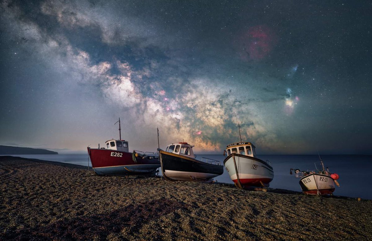 Tim White tweet media