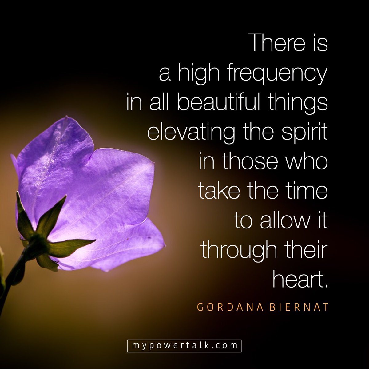 Gordana Biernat tweet media