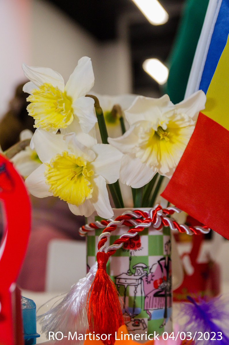 eiro Irish Romanian Cultural & Business Dev. Assoc tweet media