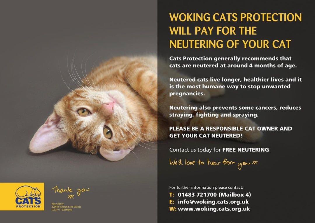 If you want to use our free neutering service please contact us using the information below 

We cover GU21, GU22, GU24, GU25, KT12, KT13, KT14, KT15, KT16, TW17, TW18 and TW20 postcodes

We neuter Male and Female cats 

 #cat #catlife #CatsProtection #charity #catscatscats #cat