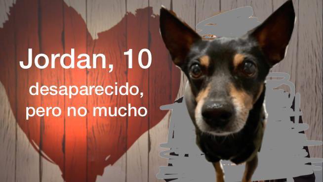 dixypixi's tweet photo. Adjunto la serie de archivos de su desaparición:
A dónde fue visto por última vez https://t.co/PT1gsBeqAj