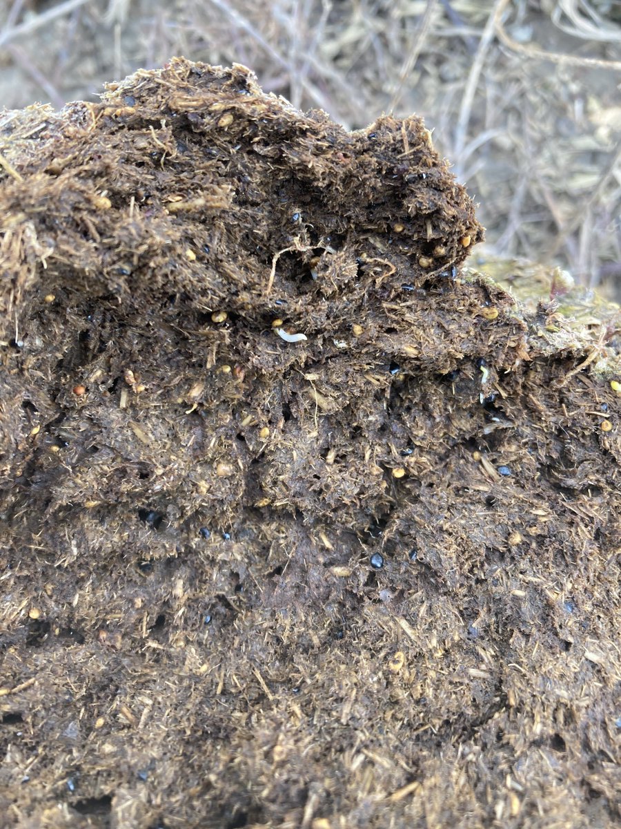 Blake Vince tweet media