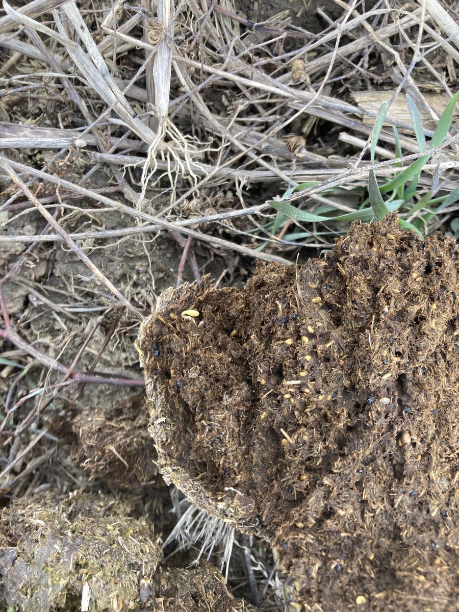 Blake Vince tweet media