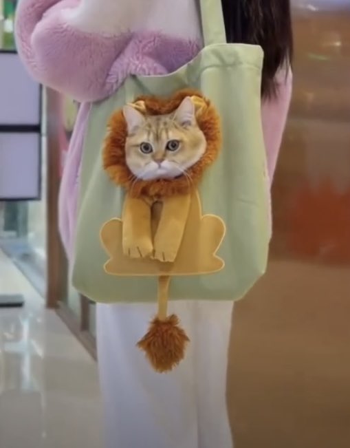 Marcuswriterman's tweet image. It’s the little things. The funny furry little things.