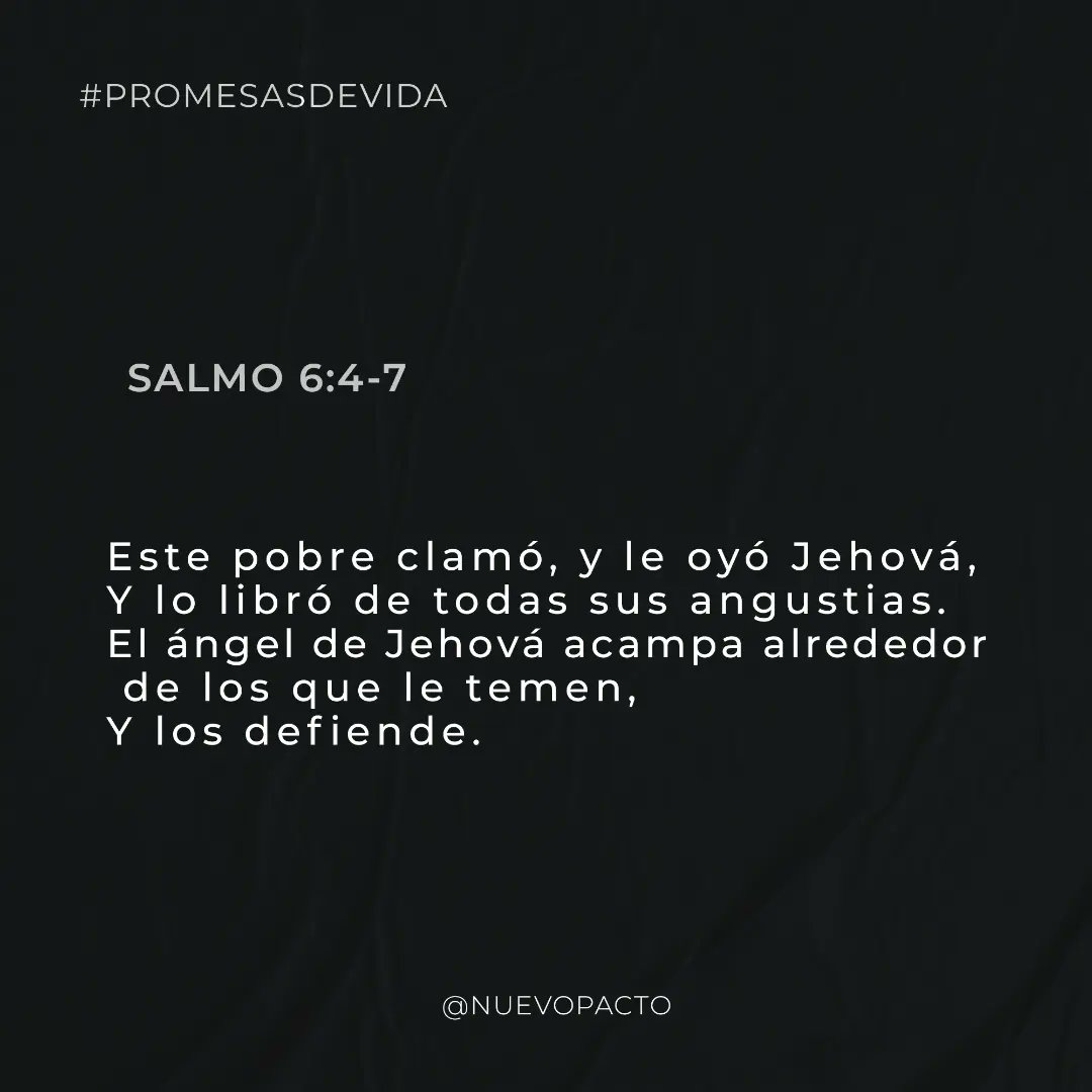 NuevoPactoSS's tweet photo. 𝗣𝗥𝗢𝗠𝗘𝗦𝗔𝗦 𝗗𝗘 𝗩𝗜𝗗𝗔
😫 ¿De quién temeré? 
Jehová es la fortaleza de mi vida, mi escudo y pronto auxilio. 

Confía, que Dios está contigo, Él es tu guardador.

#Promesasdevida #Fortaleza #Guardador #NuevoPacto https://t.co/dLMQGLfFK3