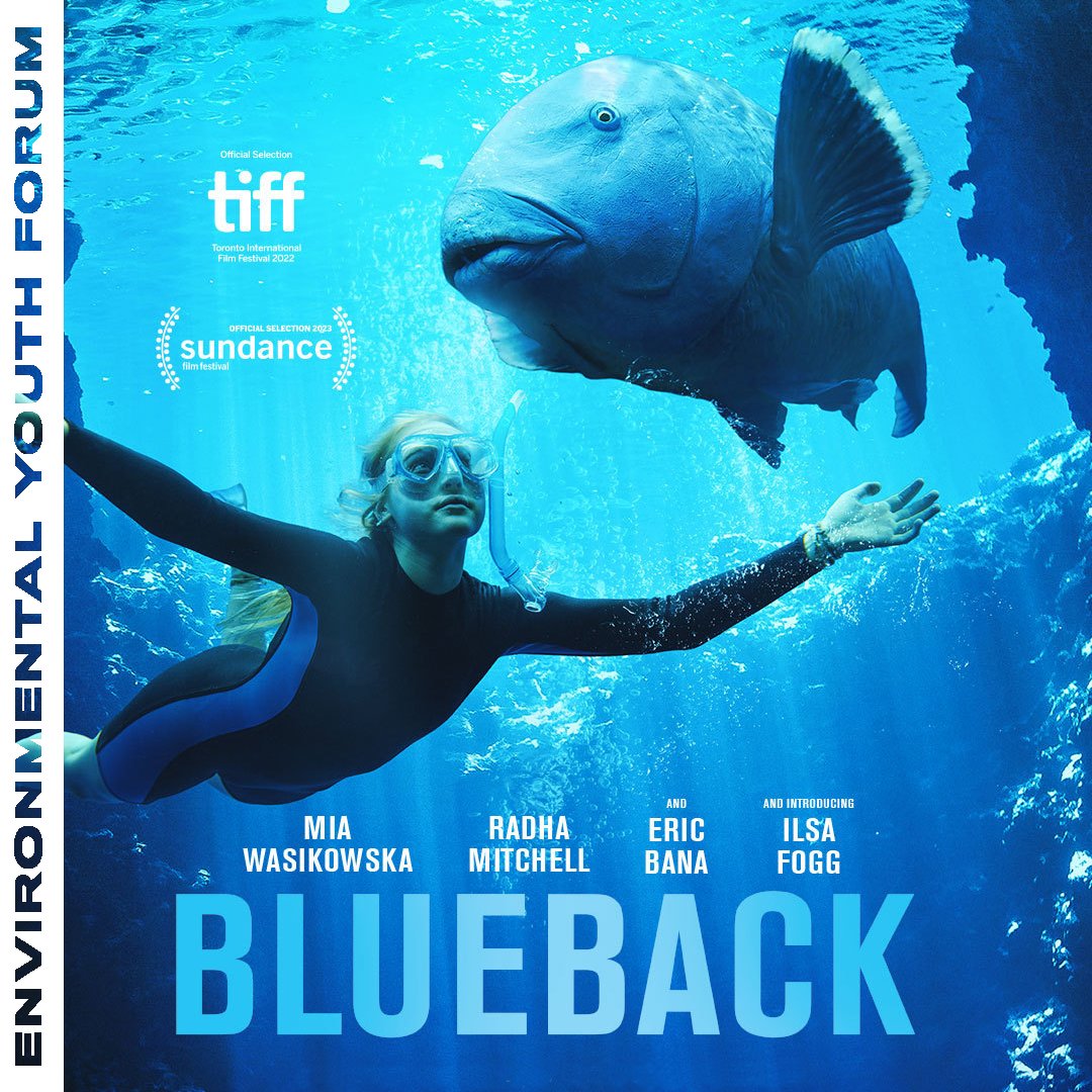 cafilminstitute's tweet photo. We’re excited to announce three new Environmental Youth Forum (EYF) events coming up this spring at the Rafael for classes, including BLUEBACK, now playing only in theaters!

Teachers, register + get more info  → https://t.co/Tg22Q5j9sc
@quiverdistrib #CAFILMEducation https://t.co/3EkjC4iodU