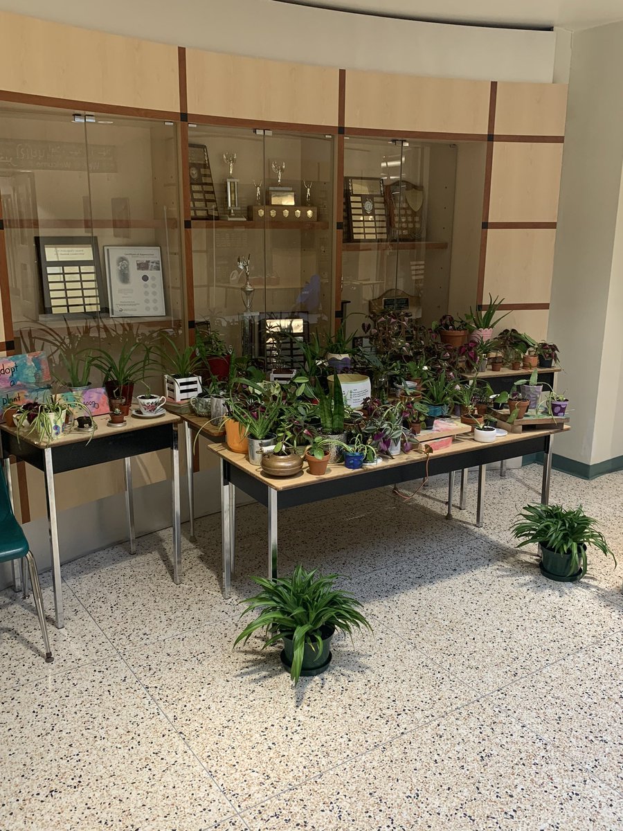 Willow Road PS tweet media