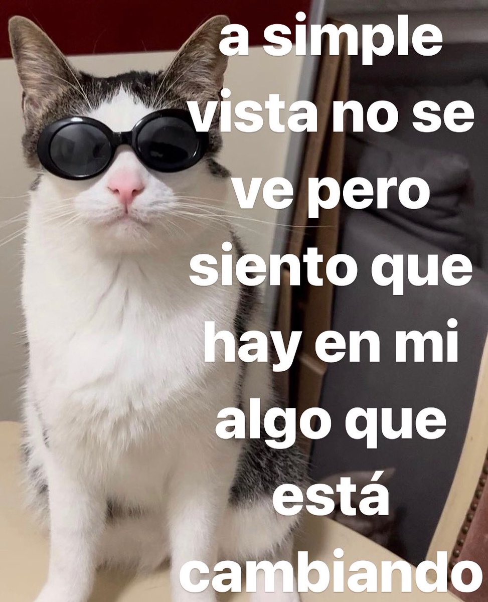 conoloracigarro's tweet photo. NO SE VEEEE https://t.co/9OoKoUVJ9C