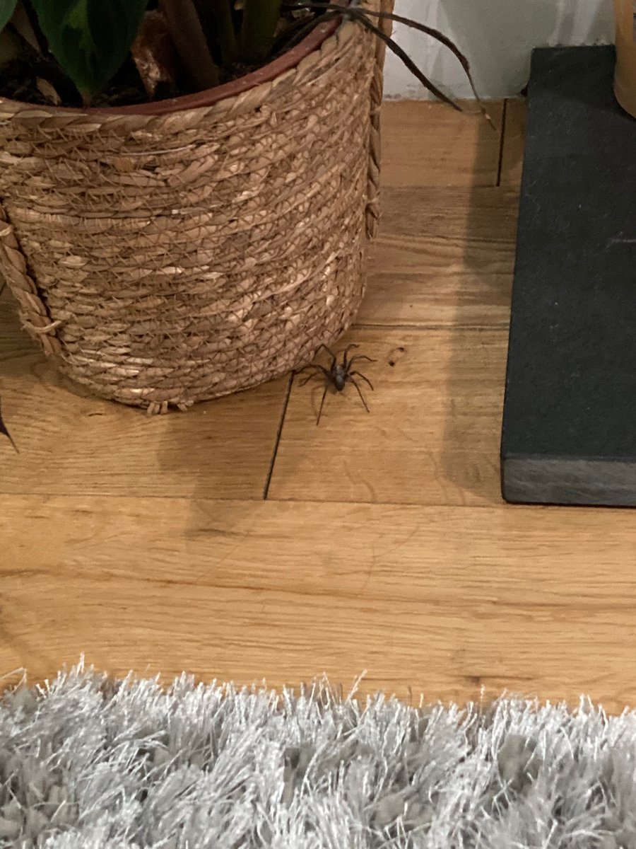 Helen Fray tweet media