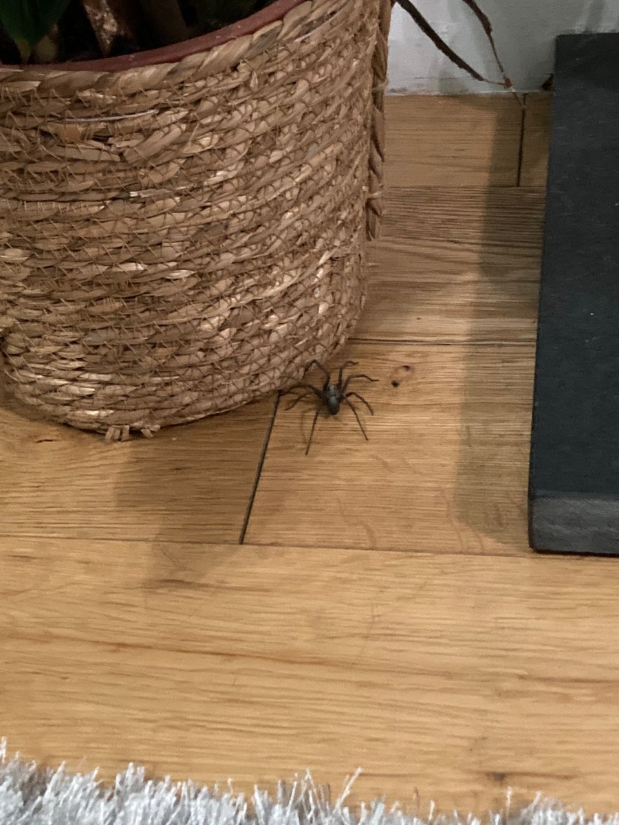 Helen Fray tweet media