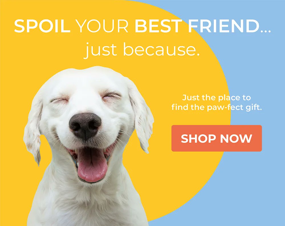 RogueElectric's tweet photo. ALPHA PAW - THE LEADER OF THE PACK
Vet Recommended Pet Supplies at Low Prices
https://t.co/JEq7Y2PU2n
#dog #petlov #dogs #dogsoftwitter #Dog #dogtraining #huskytwitter #husky #goldenretriever #germanshepherd https://t.co/RkrnZTSvg4