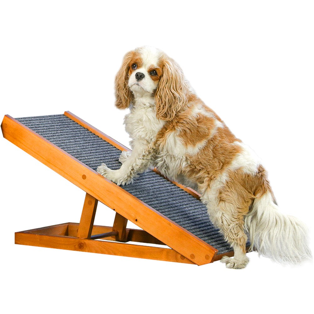 RogueElectric's tweet photo. ALPHA PAW - THE LEADER OF THE PACK
Vet Recommended Pet Supplies at Low Prices
https://t.co/JEq7Y2PU2n
#dog #petlov #dogs #dogsoftwitter #Dog #dogtraining #huskytwitter #husky #goldenretriever #germanshepherd https://t.co/RkrnZTSvg4