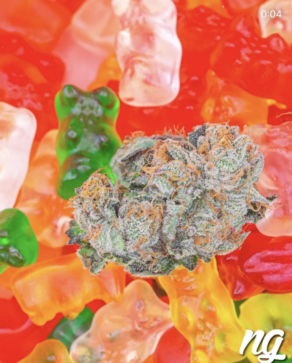 Nameless Genetics tweet media