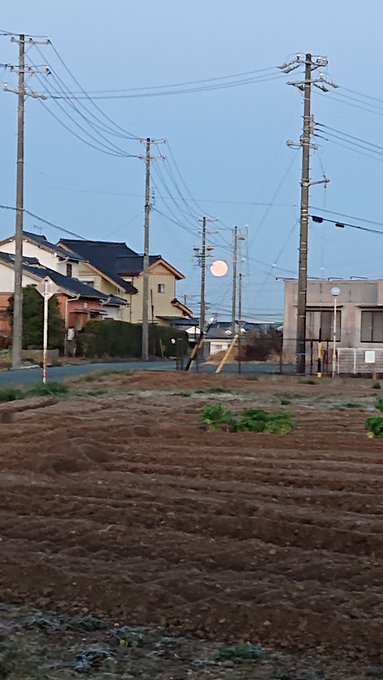 月がきれいでした💓 