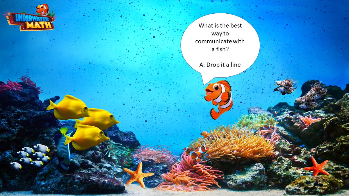 Clown_Fish2023's tweet photo. https://t.co/BEEfFJHcc1